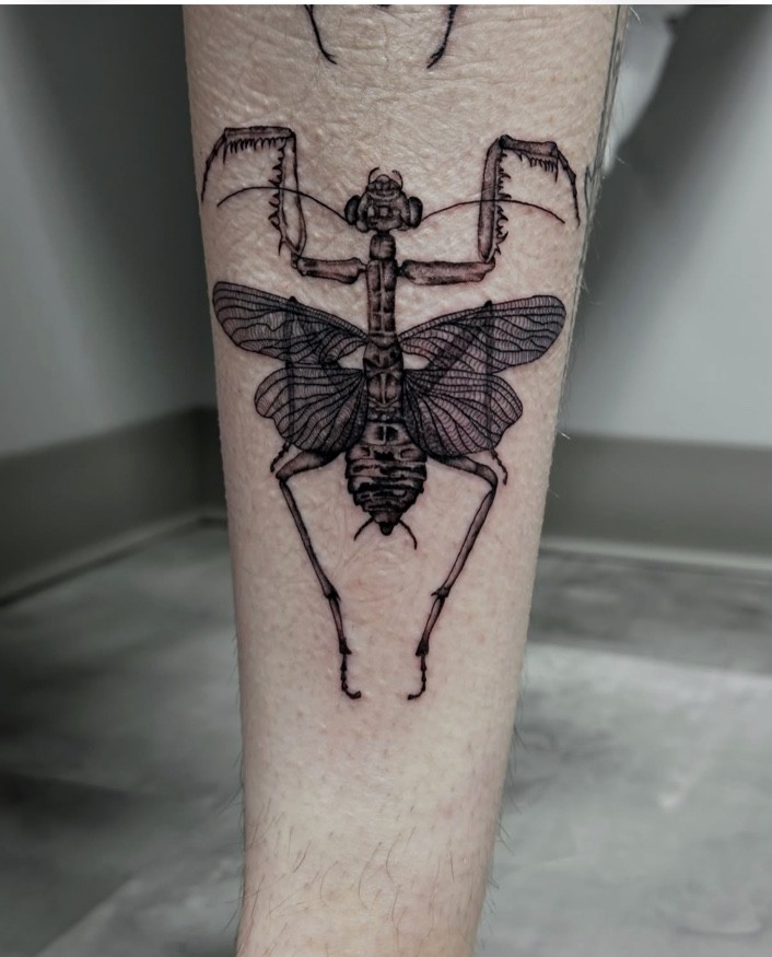Detailed insect tattoo by Maggie